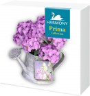 Prima Collection Dizajn